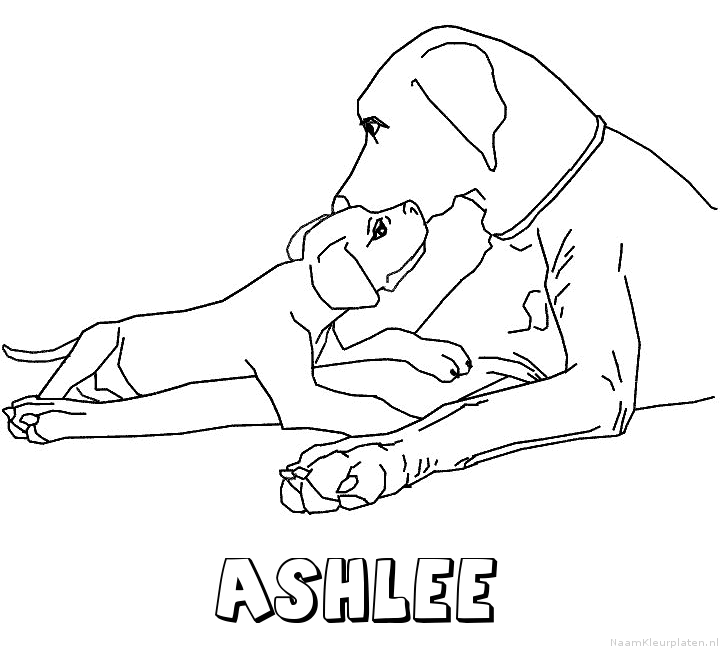 Ashlee hond puppy kleurplaat