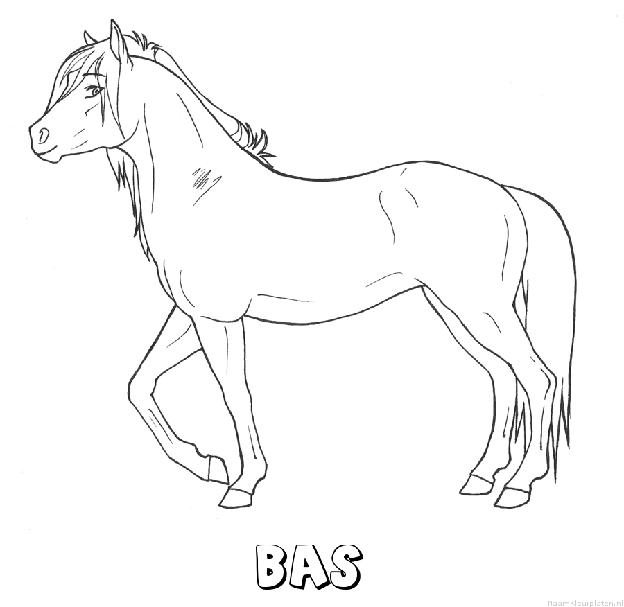 Bas paard