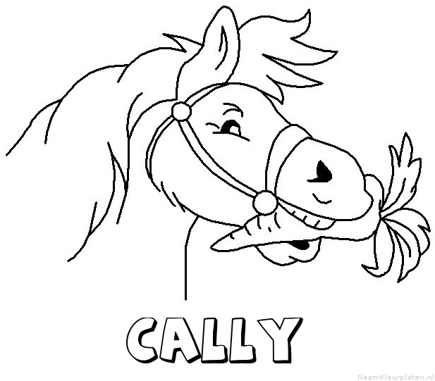Cally paard van sinterklaas kleurplaat