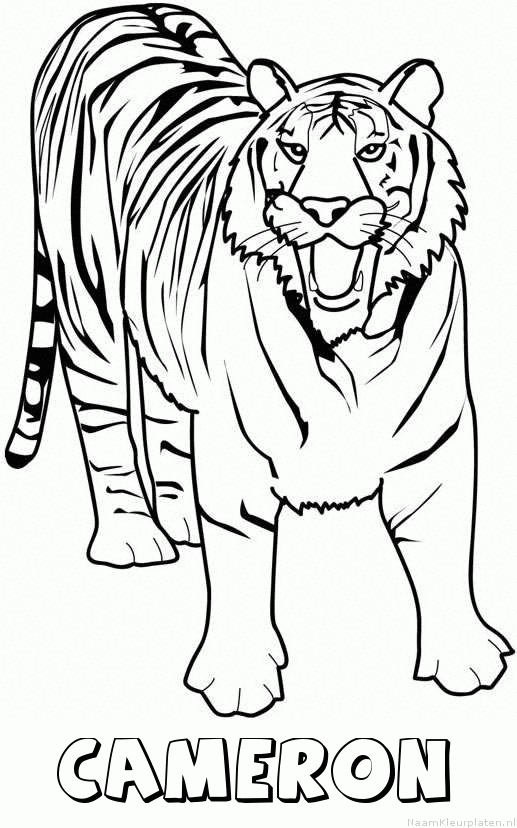 Cameron tijger 2 kleurplaat
