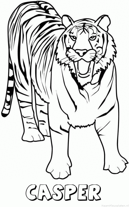 Casper tijger 2 kleurplaat