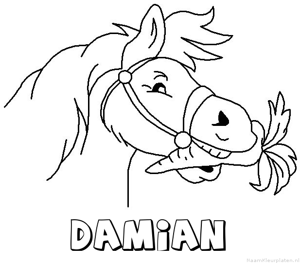 Damian paard van sinterklaas kleurplaat