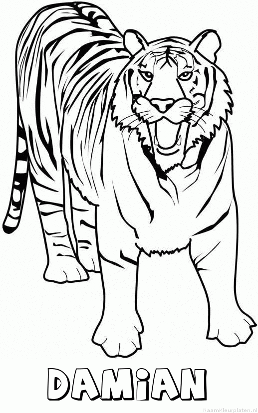 Damian tijger 2 kleurplaat