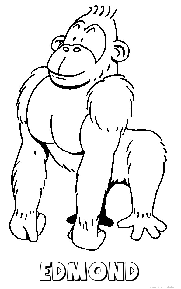 Edmond aap gorilla kleurplaat
