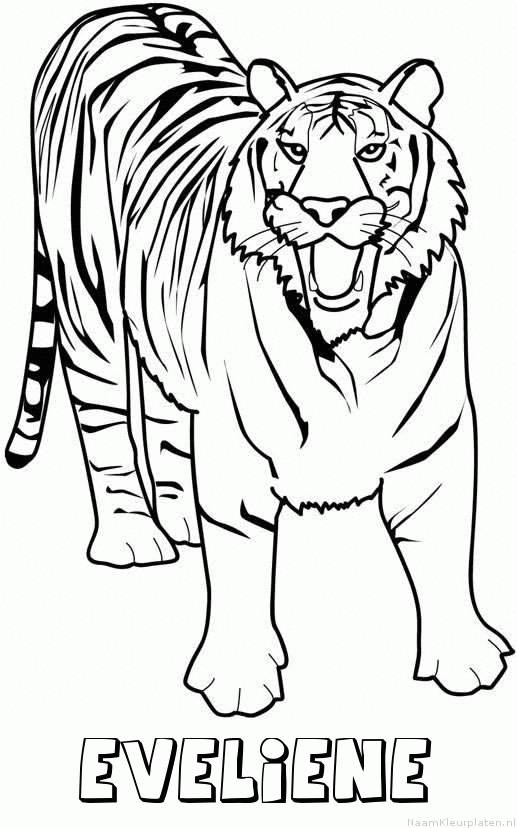 Eveliene tijger 2 kleurplaat