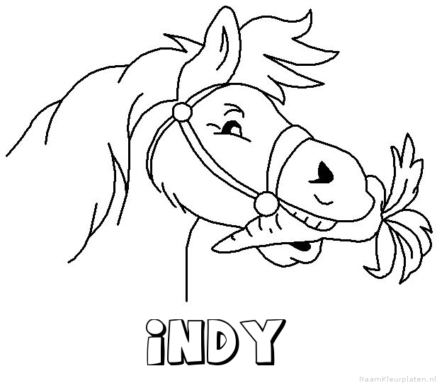 Indy paard van sinterklaas kleurplaat