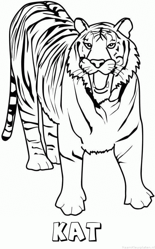 Kat tijger 2 kleurplaat