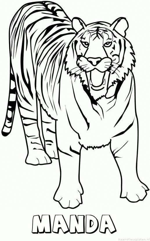 Manda tijger 2 kleurplaat
