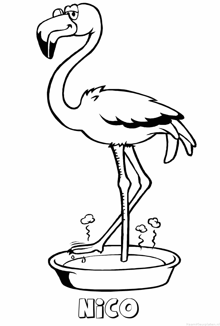 Nico flamingo kleurplaat