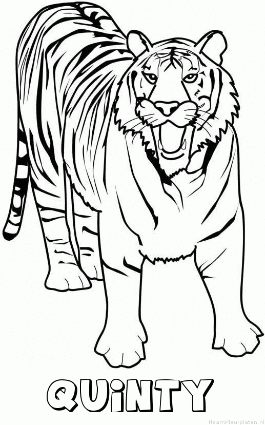 Quinty tijger 2 kleurplaat