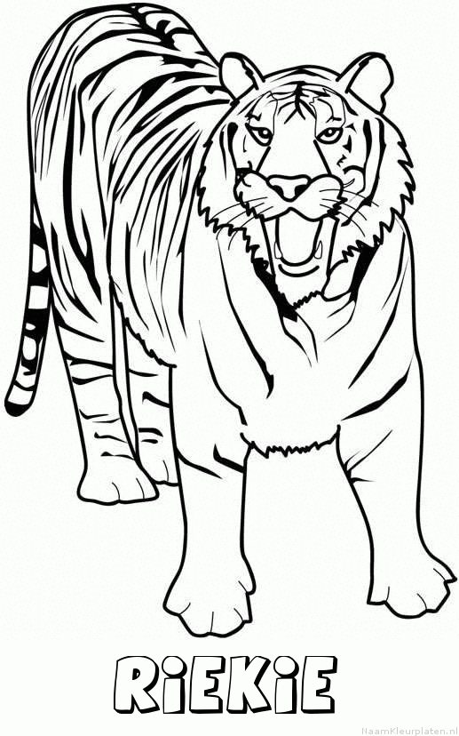 Riekie tijger 2 kleurplaat