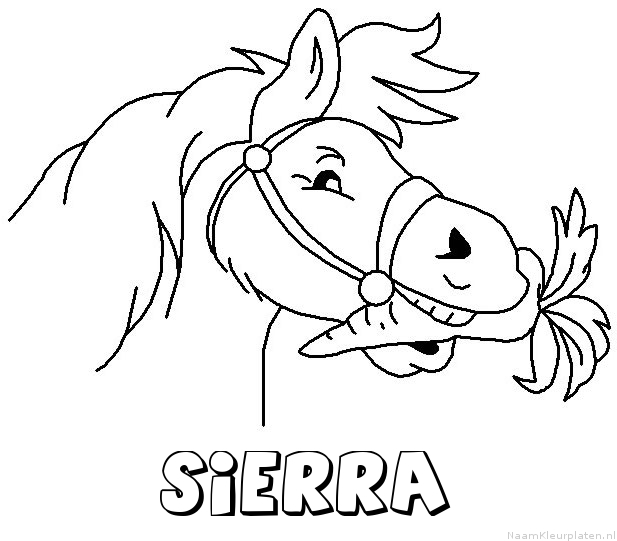 Sierra paard van sinterklaas kleurplaat