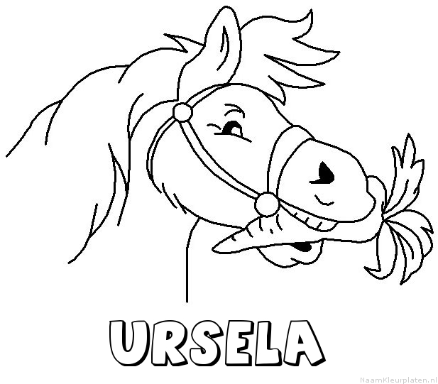 Ursela paard van sinterklaas kleurplaat
