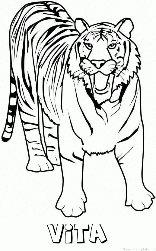 Vita tijger 2 kleurplaat
