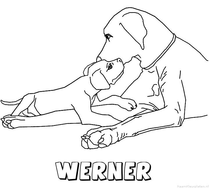 Werner hond puppy kleurplaat