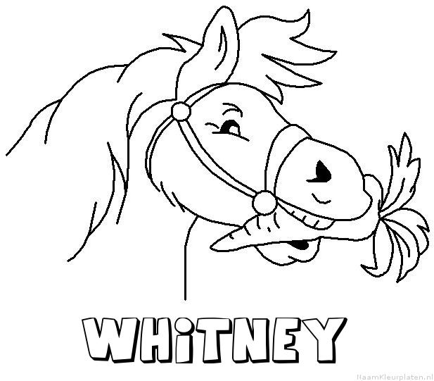 Whitney paard van sinterklaas kleurplaat