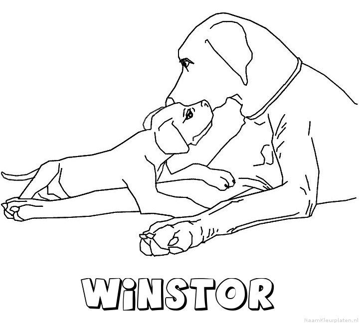 Winstor hond puppy kleurplaat