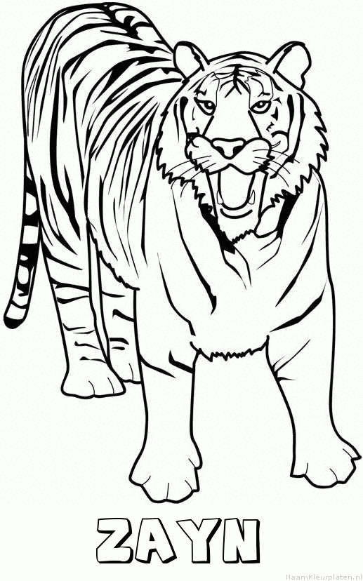 Zayn tijger 2 kleurplaat
