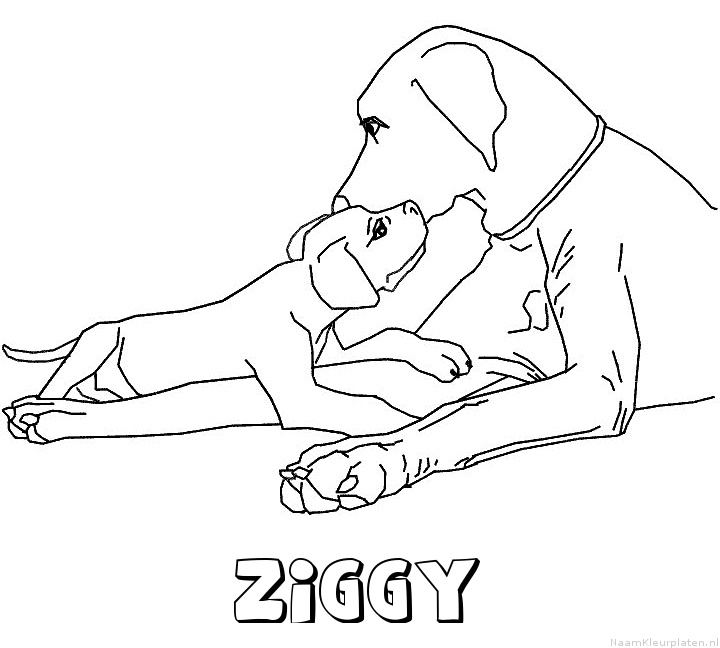 Ziggy hond puppy kleurplaat