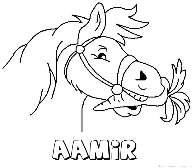 Aamir paard van sinterklaas kleurplaat
