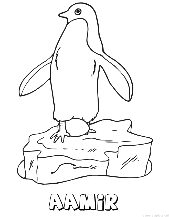 Aamir pinguin kleurplaat