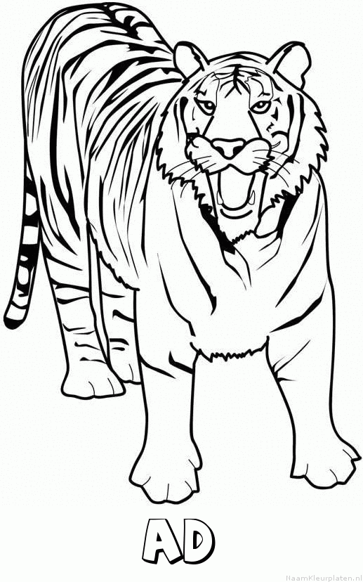Ad tijger 2 kleurplaat