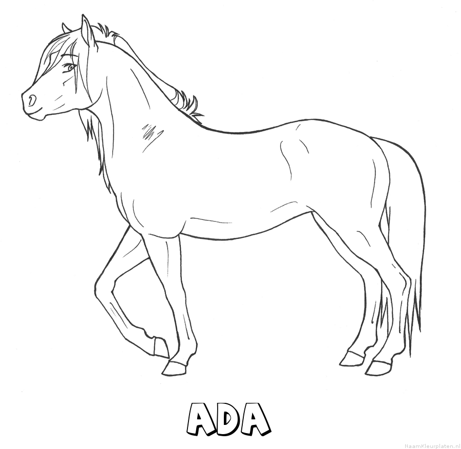 Ada paard