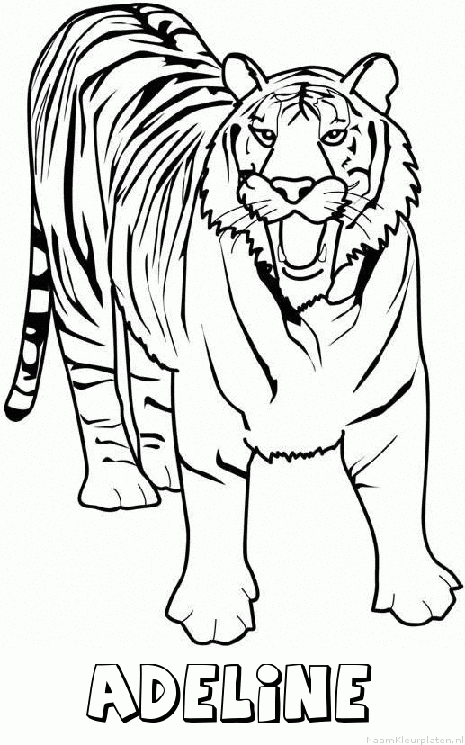 Adeline tijger 2 kleurplaat