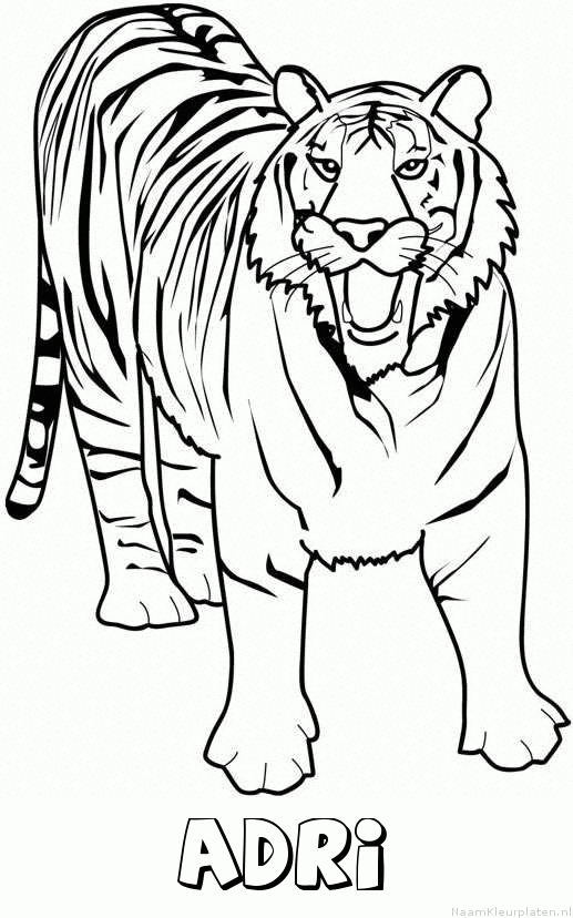 Adri tijger 2 kleurplaat