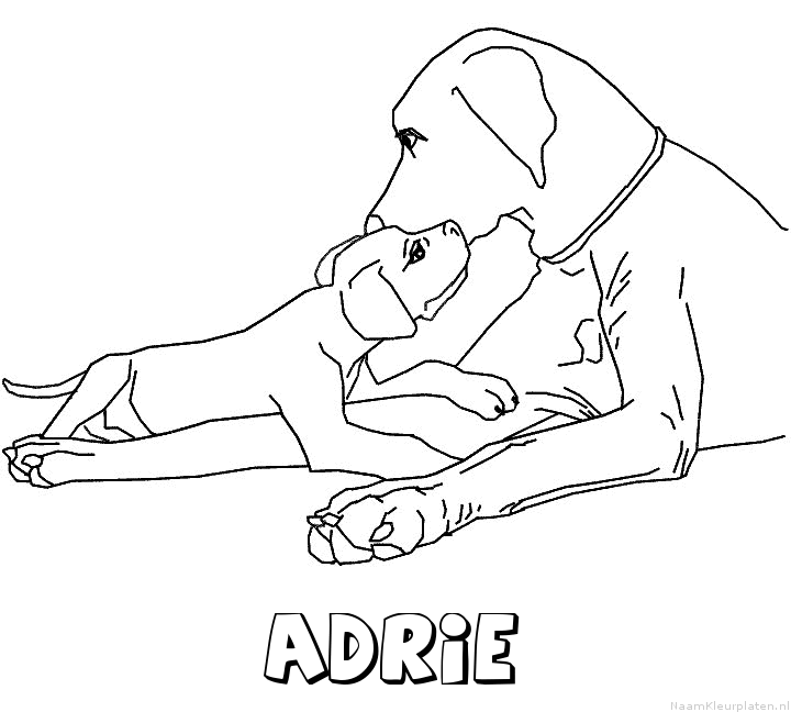Adrie hond puppy kleurplaat