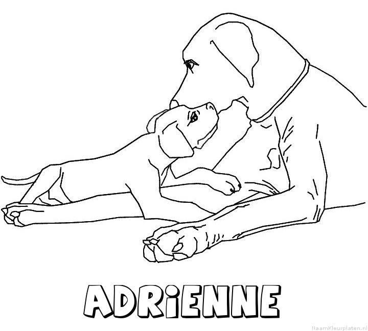 Adrienne hond puppy kleurplaat