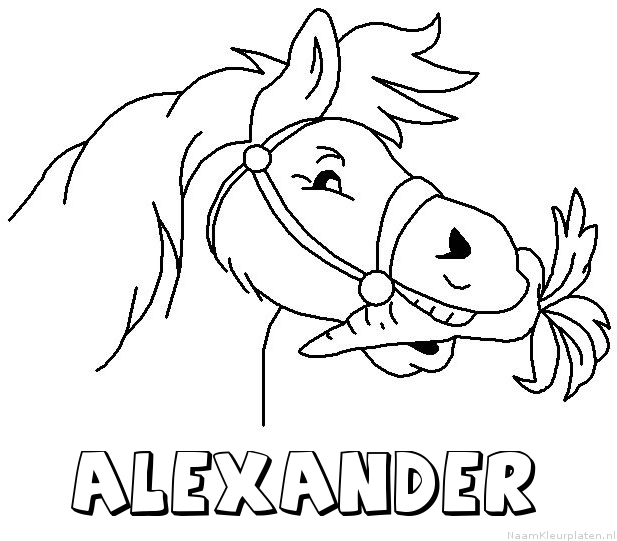 Alexander paard van sinterklaas kleurplaat