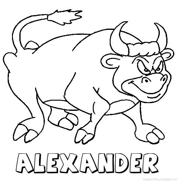 Alexander stier