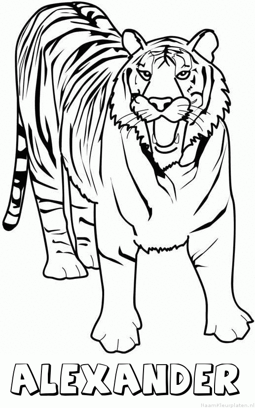 Alexander tijger 2