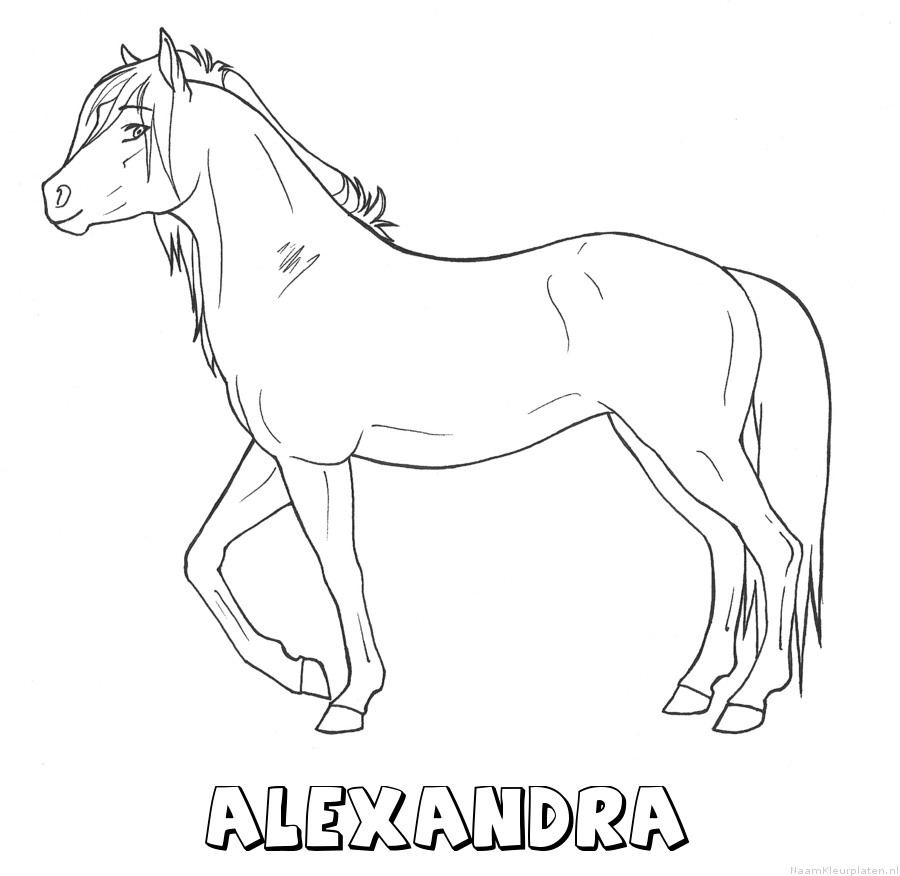 Alexandra paard kleurplaat