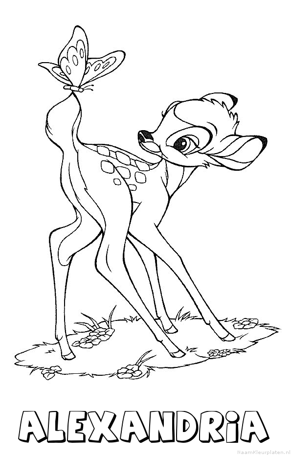 Alexandria bambi