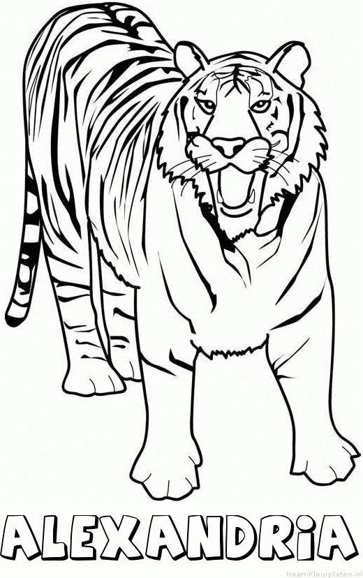 Alexandria tijger 2 kleurplaat