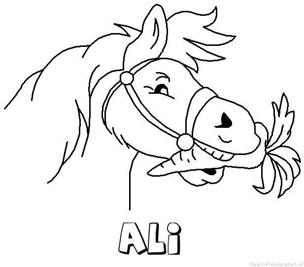 Ali paard van sinterklaas