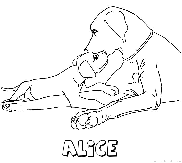 Alice hond puppy kleurplaat