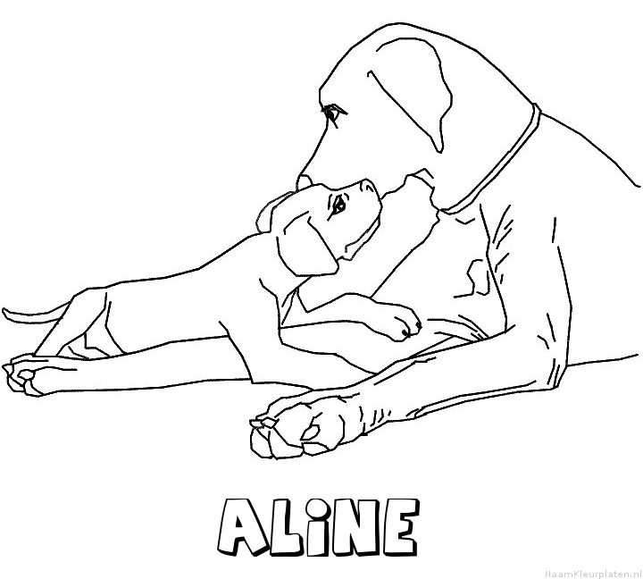 Aline hond puppy
