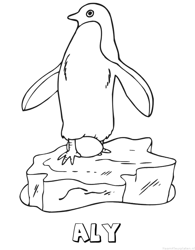 Aly pinguin