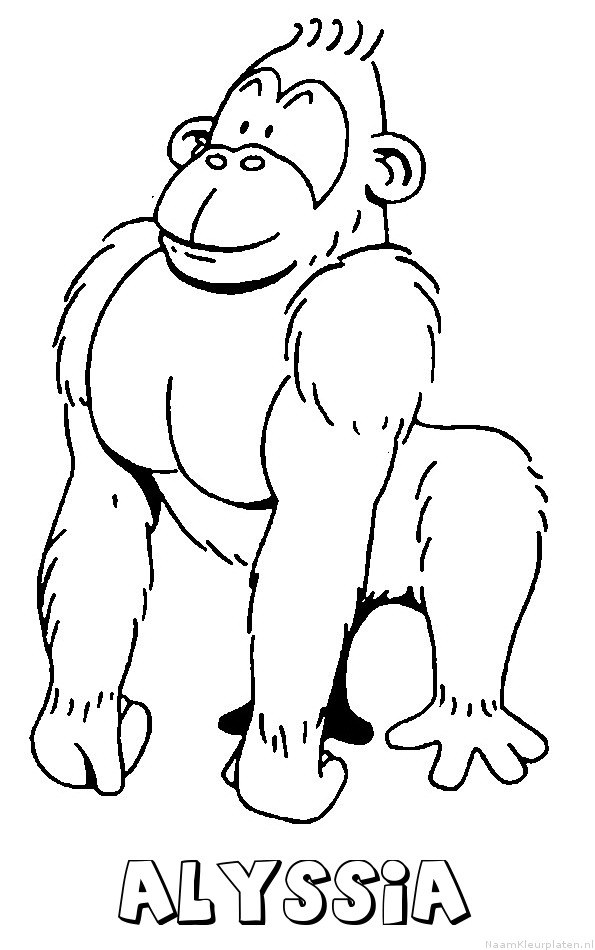 Alyssia aap gorilla
