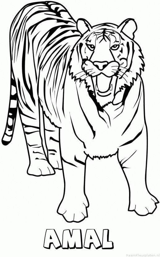Amal tijger 2 kleurplaat