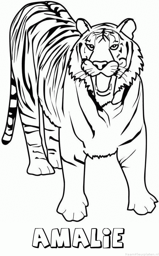Amalie tijger 2 kleurplaat
