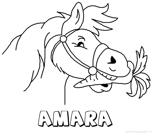 Amara paard van sinterklaas