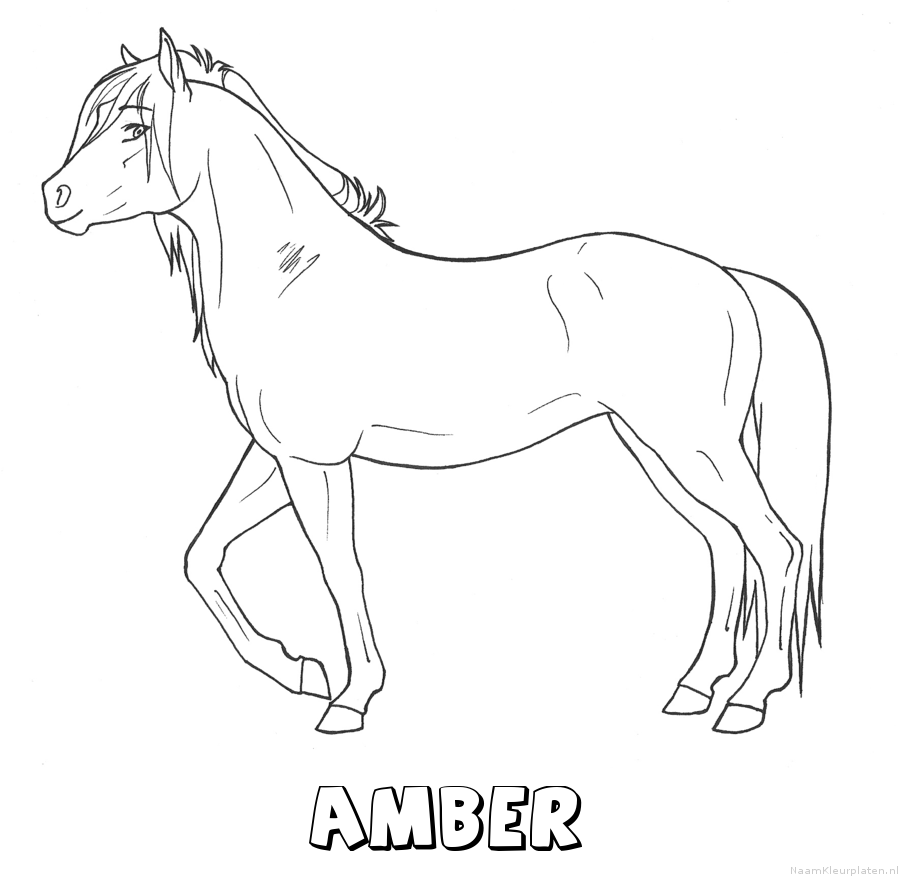 Amber paard kleurplaat