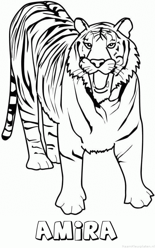 Amira tijger 2 kleurplaat