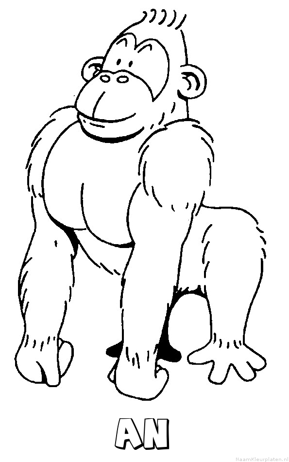 An aap gorilla