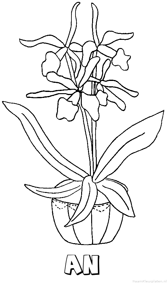 An bloemen
