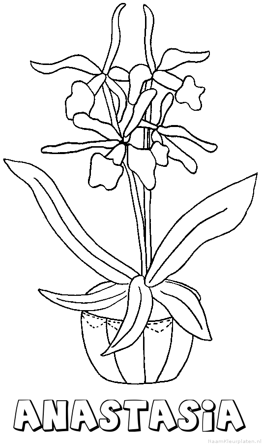 Anastasia bloemen